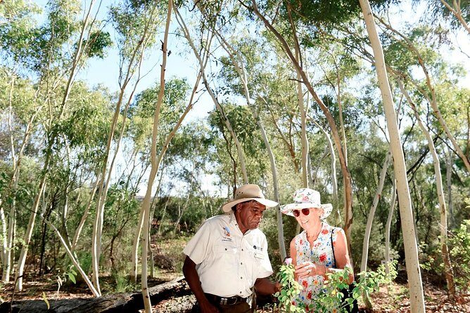 Alice Springs Desert Park General Entry Ticket - Detailed Itinerary and Key Stops