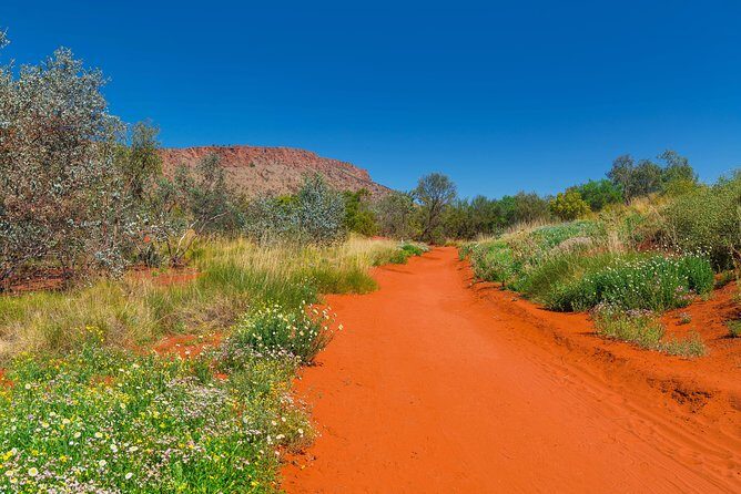 Alice Springs Desert Park General Entry Ticket - Practical Details & Tips