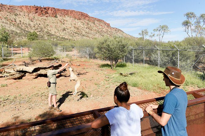 Alice Springs Desert Park General Entry Ticket - The Sum Up: Why It’s a Great Value