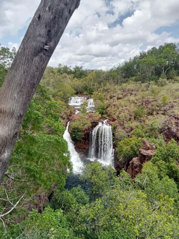 Alice Springs: Personalized Tour in the Northern Territory - What to Expect from the Experience