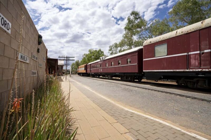 Alice Springs: Red Centre Journey Tour with Morning Tea - Who Should Consider This Tour?