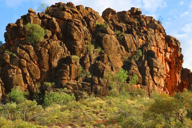 Alice Springs to Ross River Resort: A Self-Guided Outback Drive - Starting Point: Araluen Cultural Precinct