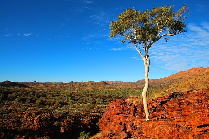 Alice Springs to Ross River Resort: A Self-Guided Outback Drive - Ross River: The Mysterious Three Amigos