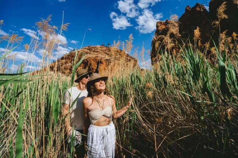 Alice Springs: West MacDonnell Ranges Day Tour with Lunch - Authenticity and Unique Highlights