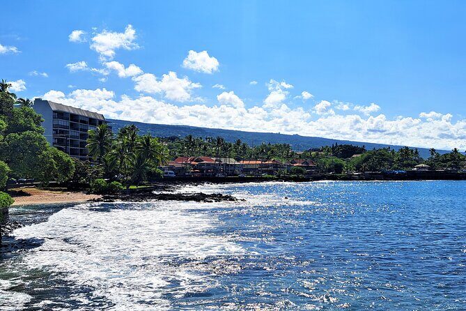 Ali'i Private Tour in Luxury Van - What Travelers Say