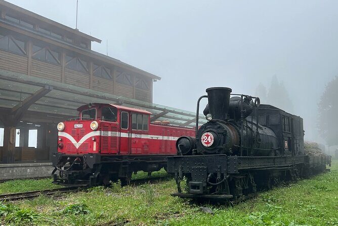 Alishan Day Tour from Chiayi (Incl. Park Entrance) - Discovering the Charm of the Alishan Day Tour from Chiayi