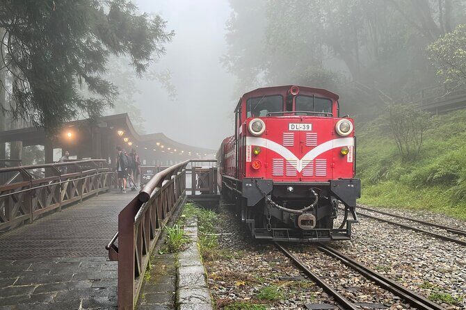 Alishan Day Tour from Chiayi (Incl. Park Entrance) - The Sum Up: Is This Tour Worth It?