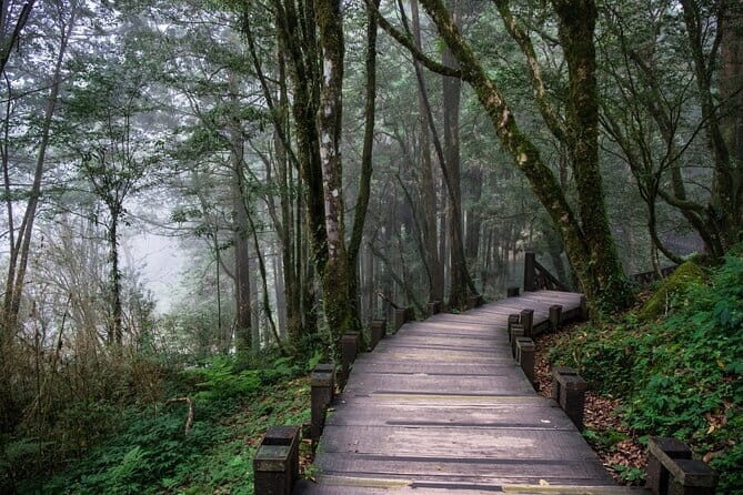 Alishan Join In Day Tour from Taichung (Incl. Park Entrance) - Key Points