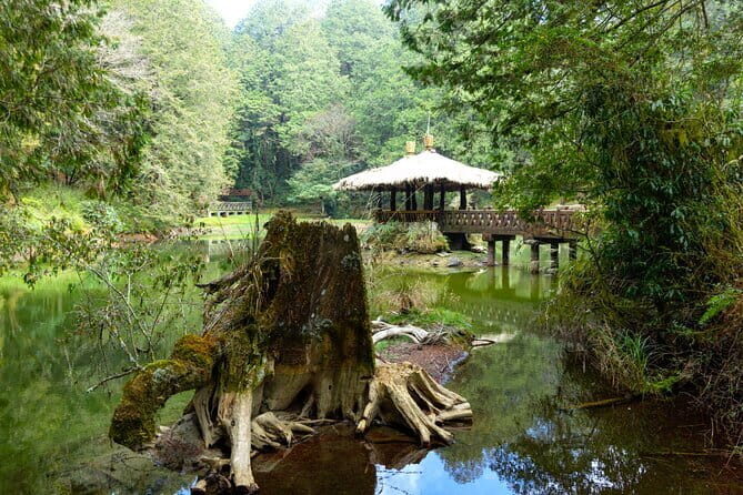Alishan Join In Day Tour from Taichung (Incl. Park Entrance) - The Value of This Tour