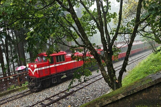 Alishan One Day Tour from Taichung - Practical Considerations