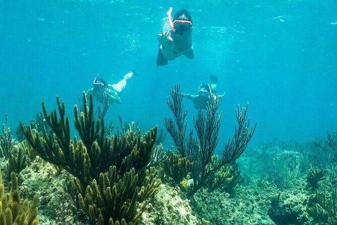 All Day Adventure with a Beach BBQ Feast from Providenciales - FAQs