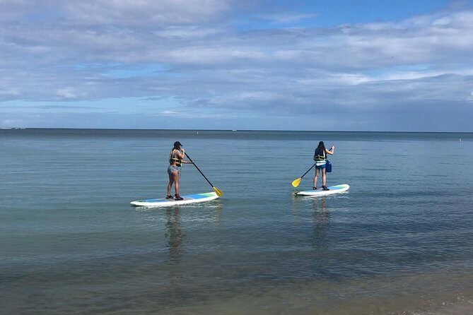 All-Day Paddleboard Rental  Fajardo, Puerto Rico - Key Points