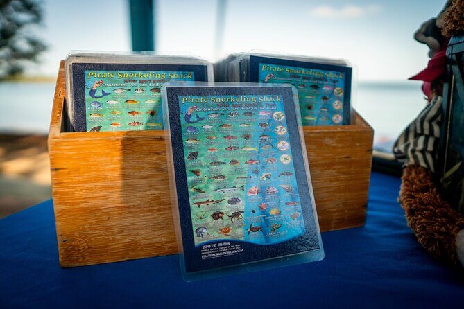 All-Day Paddleboard Rental  Fajardo, Puerto Rico - An In-Depth Look at the Experience