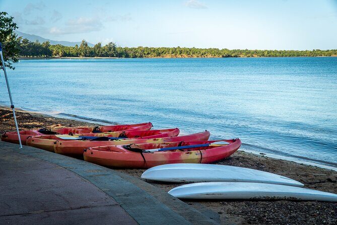 All-Day Paddleboard Rental  Fajardo, Puerto Rico - Who Will Love This Experience?