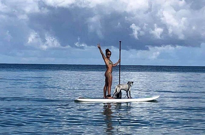 All-Day Paddleboard Rental  Fajardo, Puerto Rico - FAQ