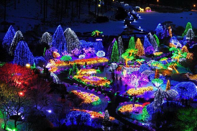 All Day Private Make your own plan tour to Nami Island and others - Why Travelers Rate It Highly