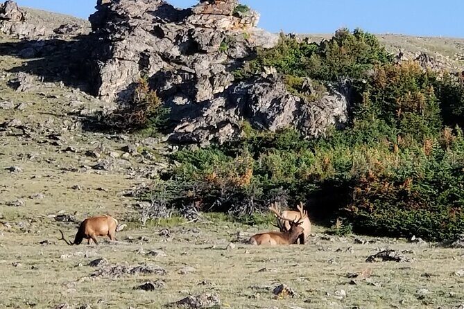All Day Rocky Mountain National Park to Grand Lake Tour - The Experience in Detail
