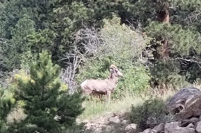 All Day Rocky Mountain National Park to Grand Lake Tour - FAQ