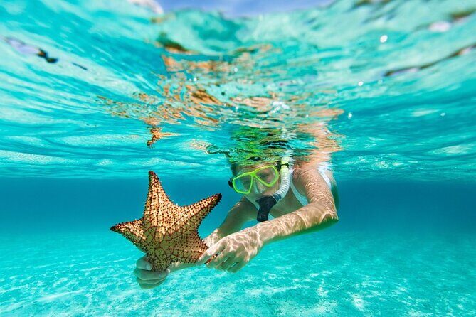 All Day Snorkel Package with Wetsuit Rental - In-Depth Look at the Experience