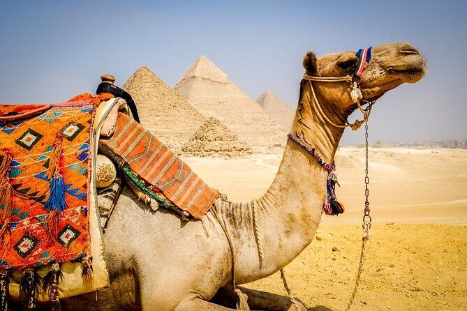 All INC- Pyramids,Camel Ride(1 hour) four wheeler (ATV)& Lunch - Final Thoughts
