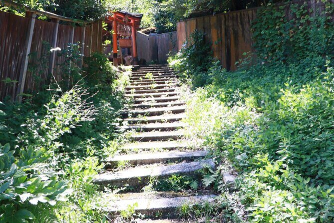 ALL INCLUDED:Short Exclusive Hidden Kyoto Private Tour with Local - Who Is This Tour Best Suited For?