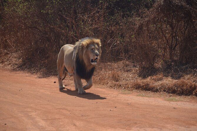 All Inclusive 2 Day Kruger Safari from Nelspruit - FAQ