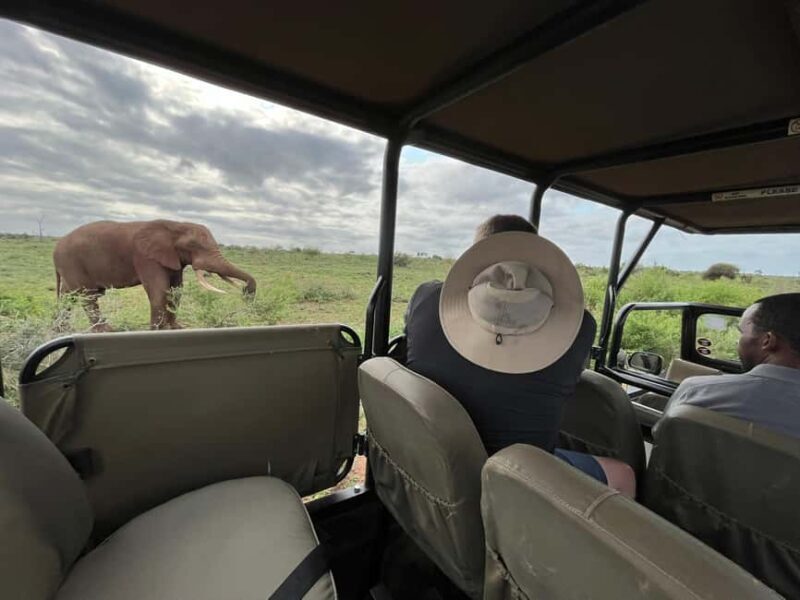 All inclusive 2 Day Kruger Safari from Nelspruit - A Closer Look at the 2-Day Kruger Safari Experience
