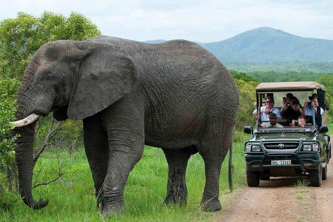 All Inclusive 3 Day Kruger Safari Adventure From Johannesburg - Food & Social Atmosphere