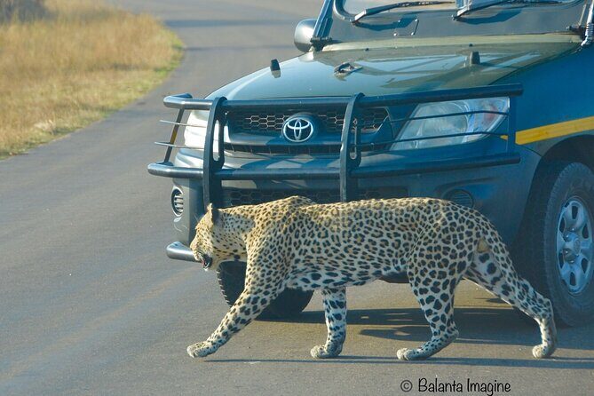 All Inclusive 3 Day Kruger Safari Adventure From Johannesburg - Price & Overall Value