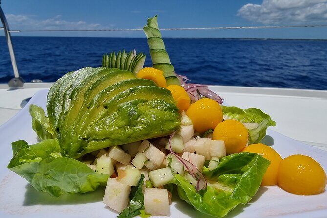 All Inclusive 4 Hour Private 42 ft Catamaran Tour in Riviera Maya - FAQ