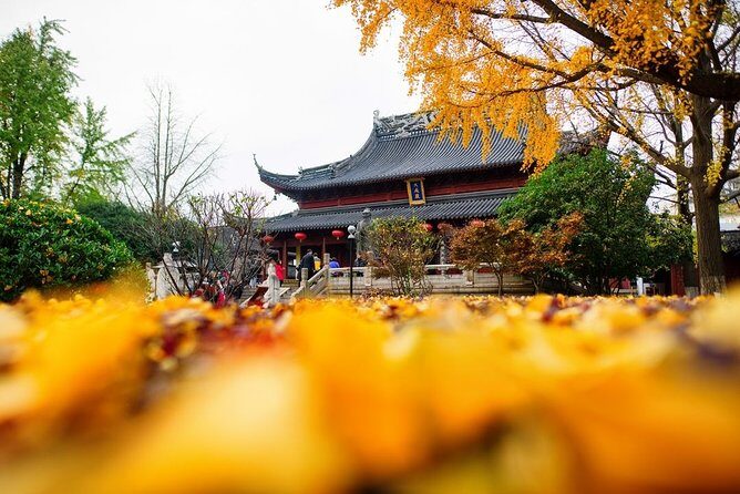 All Inclusive Amazing Nanjing City Highlights Private Day Tour - The Practicalities and What You Get