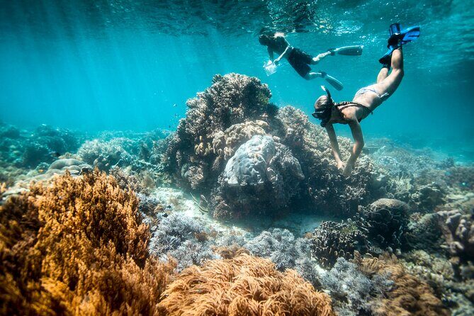 All Inclusive Bali Blue Lagoon and Tanjung Jepun Snorkeling - All Inclusive Bali Blue Lagoon and Tanjung Jepun Snorkeling: A Practical Guide