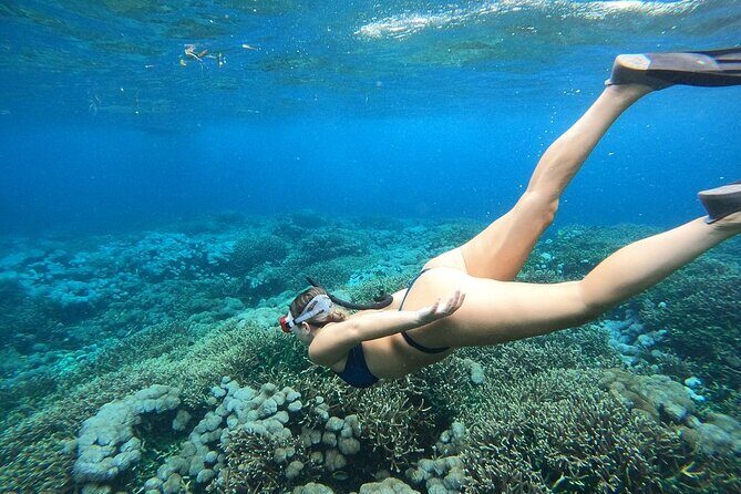 All Inclusive Bali Blue Lagoon and Tanjung Jepun Snorkeling - Frequently Asked Questions