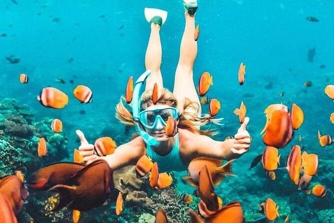 All Inclusive : Bali Blue Lagoon Snorkeling, Lunch, and Transport - The Food and Relaxation