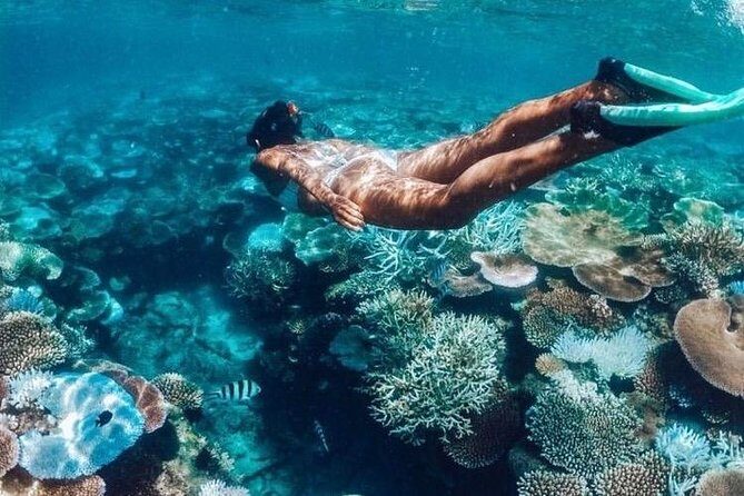 All Inclusive : Bali Blue Lagoon Snorkeling, Lunch, and Transport - Transportation and Timing: Punctual and Comfortable