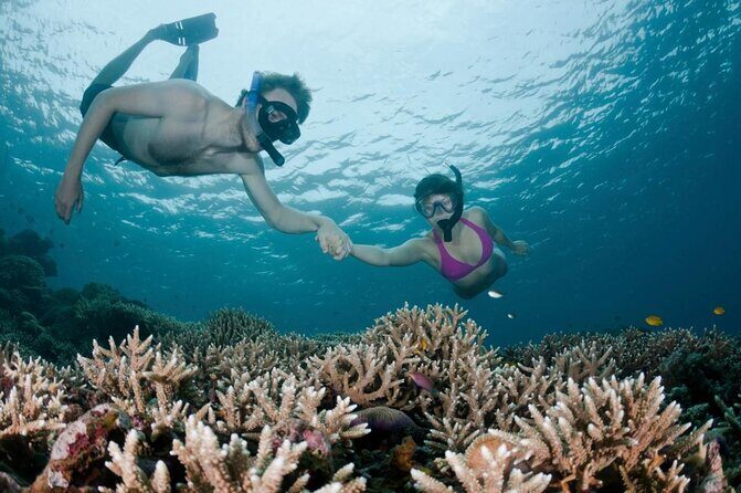 All Inclusive Bali Scuba Diving at Tulamben with Lunch -Transport - Key Points