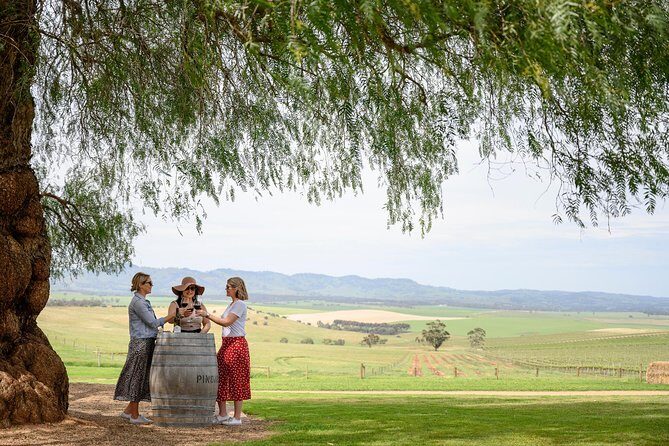 All Inclusive Barossa Valley Food and Wine Tour - A Deep Dive into the Experience