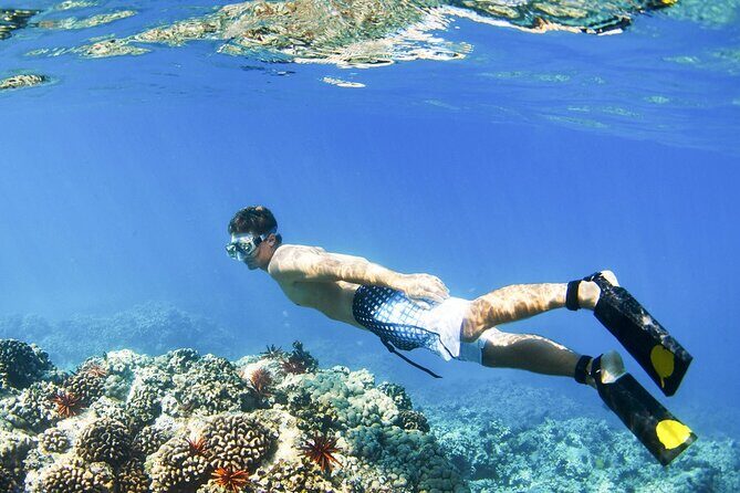 All Inclusive Blue Lagoon Snorkeling with Bali ATV Quad Adventure - Authentic Insights from Travelers