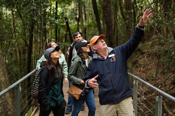 All Inclusive Blue Mountain,Scenic World,Lunch,Koalas,ferry - A Full Breakdown of the Experience