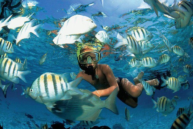 All Inclusive Caribbean adventure, reef snorkeling, Food & Drinks - Key Points