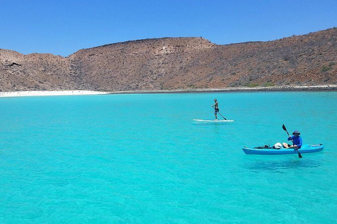 All-Inclusive Catamaran Tour | Beaches & Sea Lions from Los Cabos - Pricing and Value Analysis