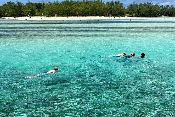 All inclusive CATAMARAN with BBQ : Ile aux cerf & GRSE waterfall - What the Reviews Say