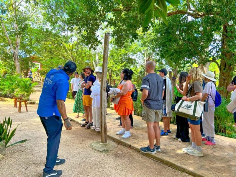 All-Inclusive: Chichen Itza & Cenote from Cancun - Starting Point and Transportation