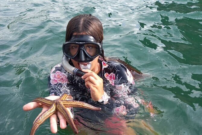 All-inclusive Colomitos cruise and Animas beach snorkeling - The itinerary: a step-by-step guide