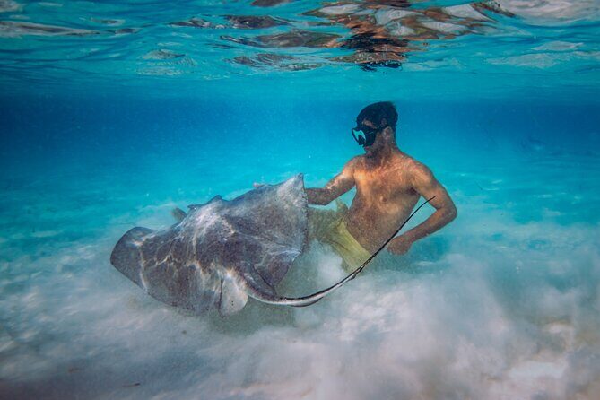 All Inclusive Cozumel: Coast & Relax 4hrs in 51" Leopard - Practical Details and How It All Comes Together