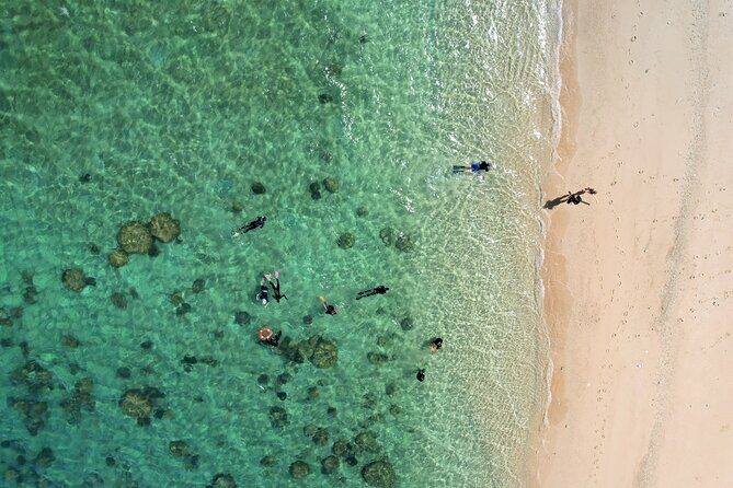 All Inclusive Day Tour to Frankland Islands Great Barrier Reef - FAQ
