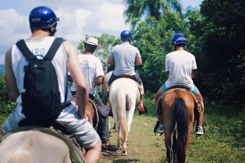 All-Inclusive Day Trip from Punta Cana: DR Culture Immersion - A Day in the Life: What to Expect From This Tour