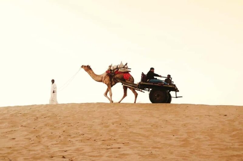All Inclusive Full Day Jaisalmer Golden City Tour - An Introduction to the Tour Experience