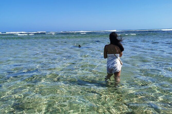 All inclusive full-Day Tour in Sal Island (Lunch and all fees included) - FAQ