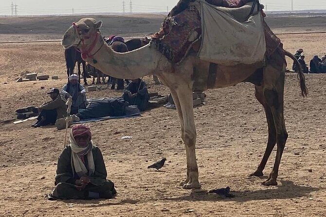 all inclusive Giza pyramids & the grand Egyptian museum - Exploring the Giza Pyramids: A Sunset Camel Ride